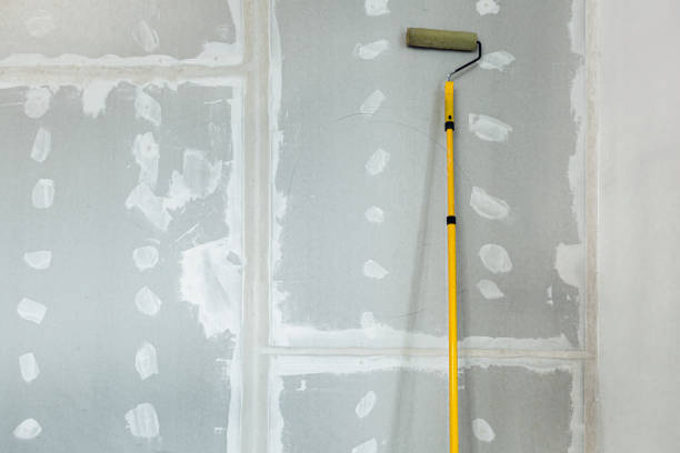 Best Mold Documentation for Insurance Claims  in Apple Creek, OH