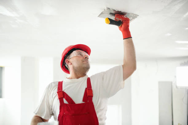 Best Air Quality Testing for Mold Spores  in Apple Creek, OH