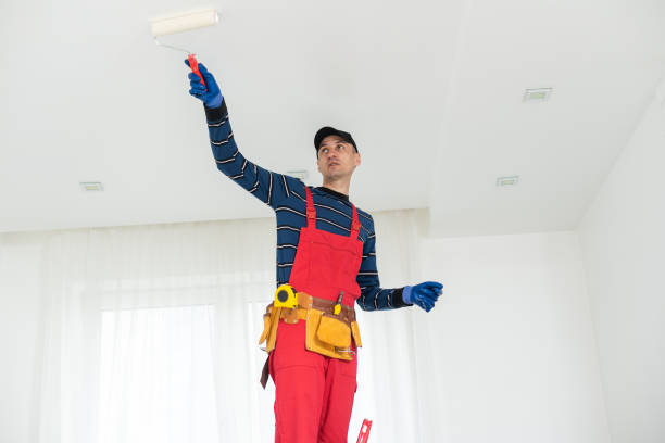 Best Dehumidification Services  in Apple Creek, OH
