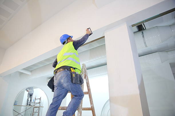 Best Mold Removal for HVAC Installations  in Apple Creek, OH